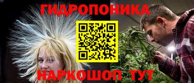 PSILOCYBIN Гусь-Хрустальный