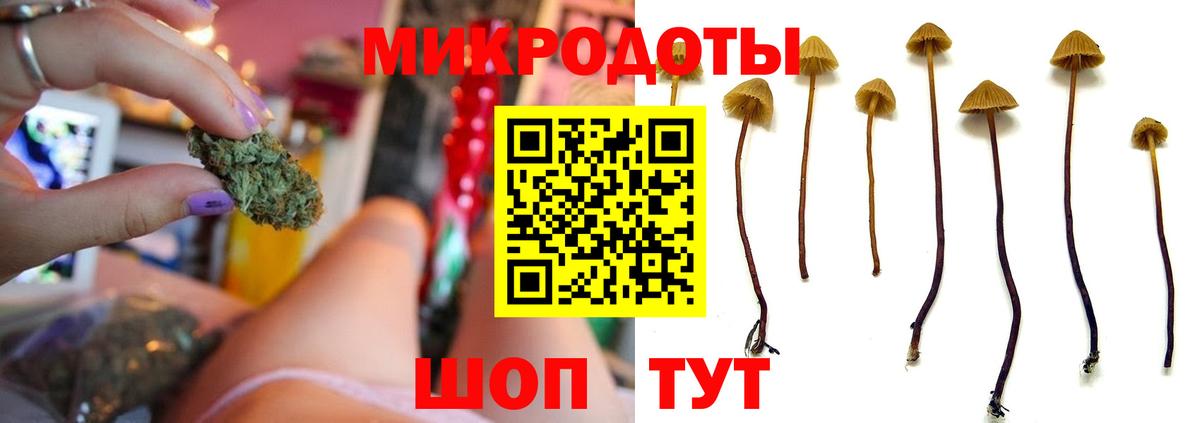 где найти наркотики  Галлюциногенные грибы Magic Shrooms  Вход с VPN  Дальнегорск 